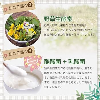 Amazon | 麹とコンブチャの生酵素 30日分 | 麹とコンブチャの生